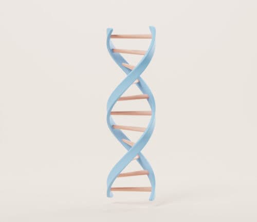 DNA